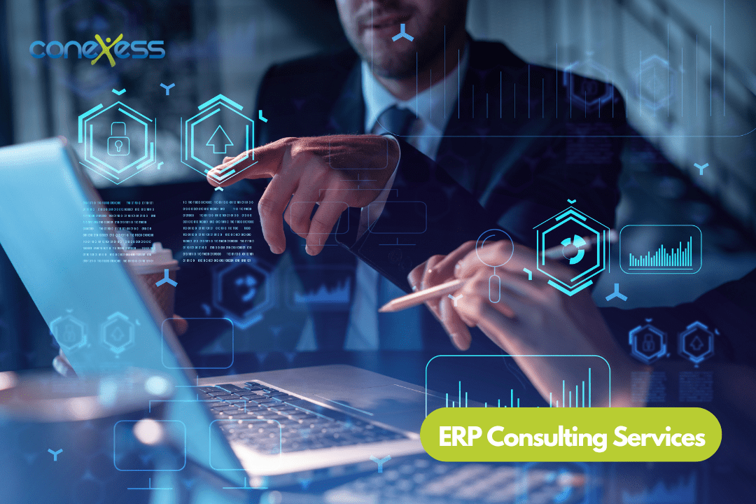 erp consulting services